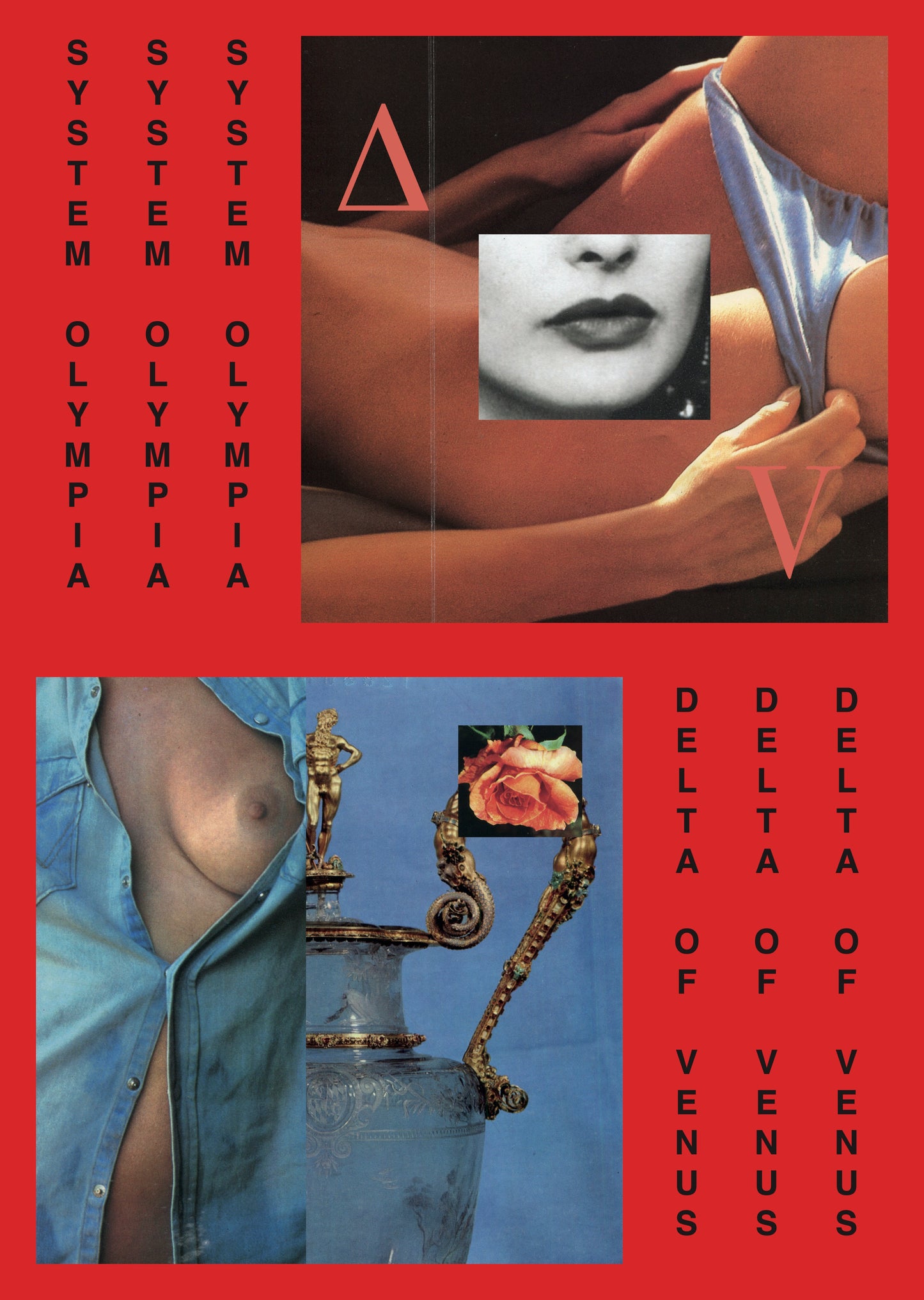 Delta Of Venus Poster